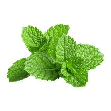 Fresh Mint Leaves pcs