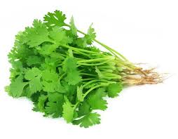 Fresh Coriander Leaves pcs