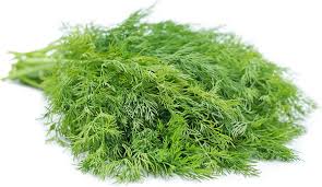 Fresh Dill Leaves pcs