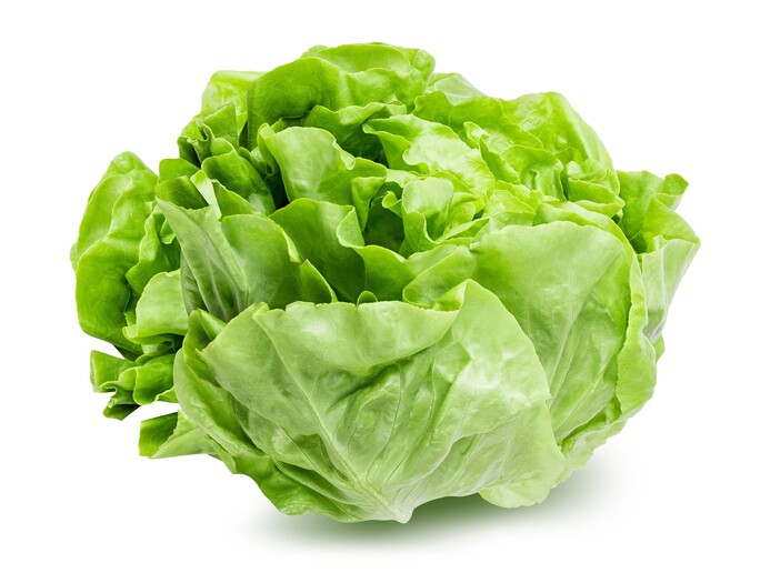 Fresh Head Lettuce pcs