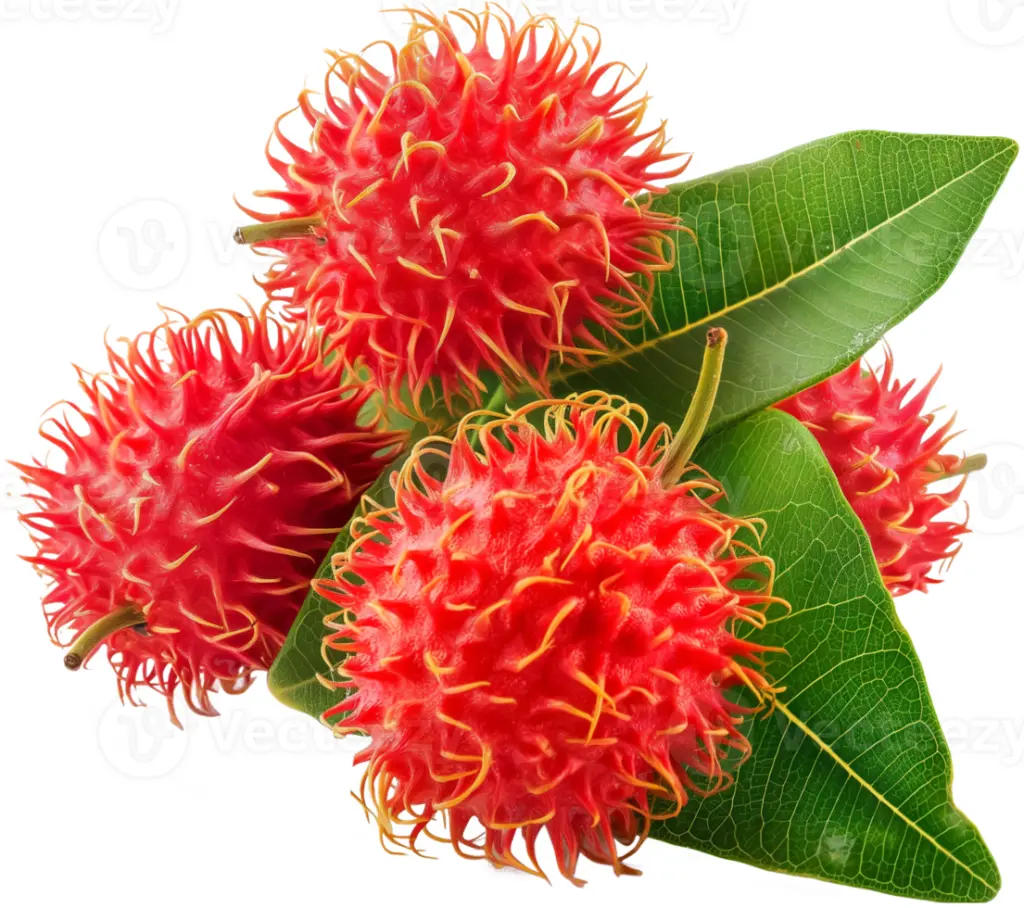 Fresh Nephelium lappaceum 250g