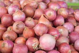 Fresh Onion Indian 250g
