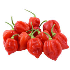 Fresh Surinam 250g