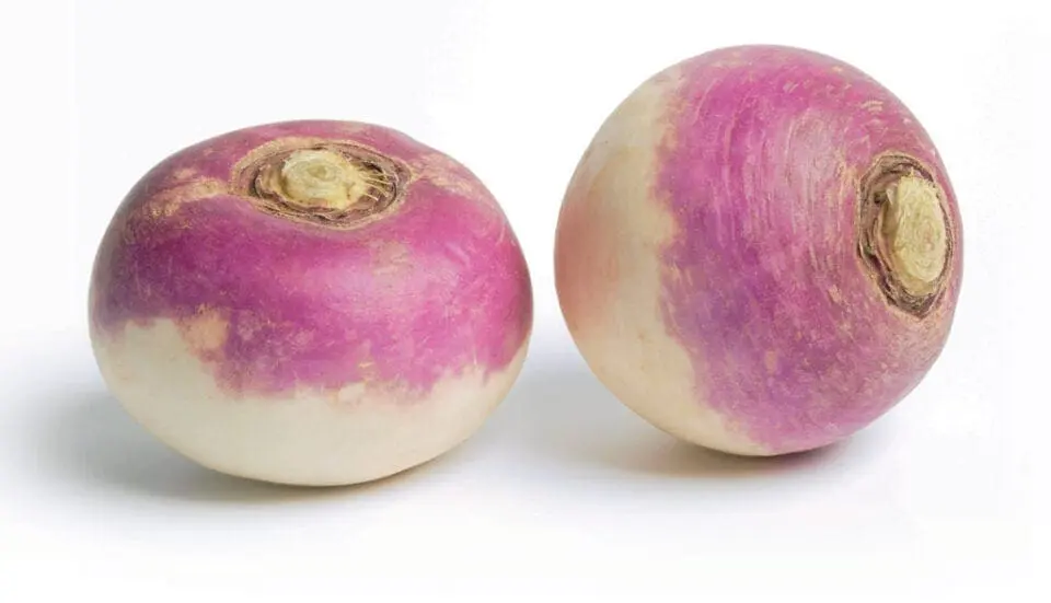 Fresh Turnip Roots Radish 300g