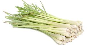 Fresh Citroengras 200g