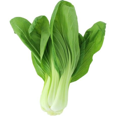 Wabu Shanghai Pak Choi 250g