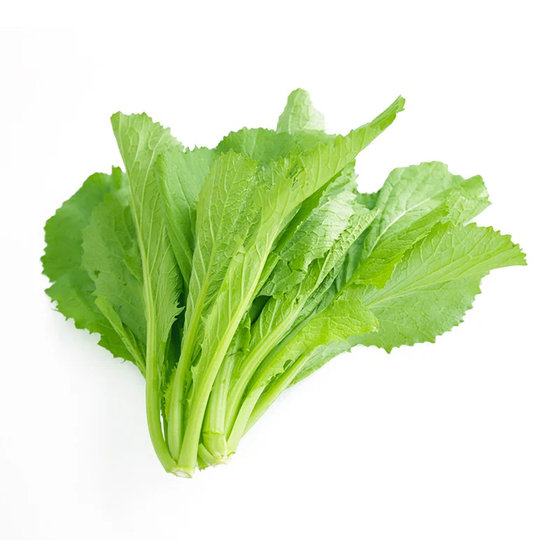 Amchoi