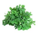 Fresh Methi Leaves pcs