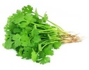 Fresh Coriander Leaves pcs
