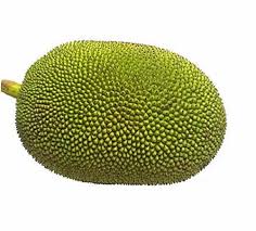 Fresh Jackfruit 1kg