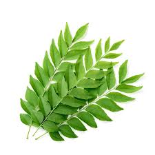 Fresh Curry Leaves 1kg
