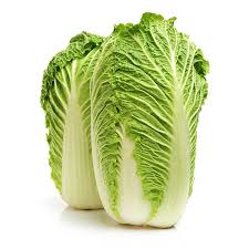 Fresh Chinese cabbage pcs