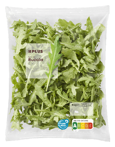 Fresh Sla Rucola 1pcs