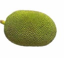 Fresh Green Jackfruit 800g