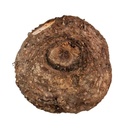 Fresh Jimikand (Suran) 500g