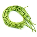 Fresh Long Beans 300g