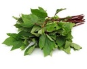 Fresh Gongura Leaf (Green) 400g