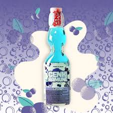GENKI Blueberry 200ml